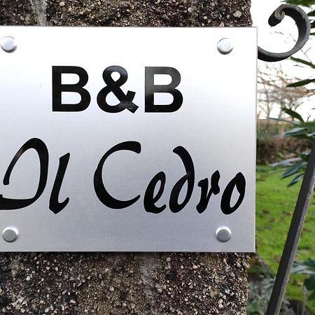 Bed and Breakfast Il Cedro San Pier d'Isonzo Exterior foto