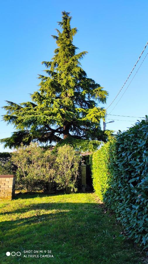 Bed and Breakfast Il Cedro San Pier d'Isonzo Exterior foto